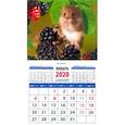 :  - Календарь 2020 "Символ года. Сладкая ежевика" (20035)