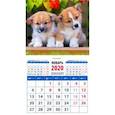 :  - Календарь 2020 "Забавные щенки корги"