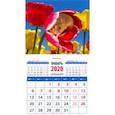 :  - Календарь 2020 "Символ года. Среди тюльпанов" (20024)
