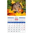 :  - Календарь 2020 "Символ года. Запасливый малыш" (20040)