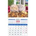 :  - Календарь 2020 "Символ года. Год достижений и успехов" (20039)