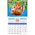 :  - Календарь 2020 "Очаровательный малыш в гамаке" (20036)