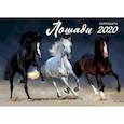 russische bücher:  - Лошади. Календарь настенный на 2020 год
