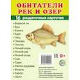 russische bücher:  - Раздаточные карточки "Обитатели рек и озер" (63х87 мм)