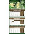 russische bücher:  - Ботаника. Календарь настенный трехблочный на 2020 год