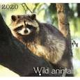 :  - 2020 год. Календарь одноблочный средний "Енот" (КС122005)