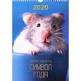 :  - 2020 год. Календарь одноблочный малый "Символ. Дизайн 1" (КПВМ2001)