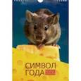 :  - Календарь настенный на 2020 год "Символ года. Дизайн 3" (КПВМ2003)
