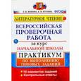 russische bücher: Птухина Александра Викторовна - ВПР. Литературное чтение. Практикум по выполнению типовых заданий. ФГОС