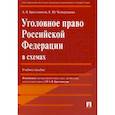 russische bücher: Бриллиантов Александр Владимирович, Четвертакова Елизавета Юрьевна - Уголовное право Российской Федерации в схемах