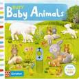 russische bücher: Jatkowska Agnieszka - Busy Baby Animals