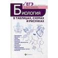 russische bücher: Бутвиловский Валерий Эдуардович, Давыдов Владимир Витольдович, Заяц Роман Георгиевич - Биология в таблицах, схемах и рисунках