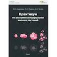 russische bücher: Андреева Ивелена Ивановна - Практикум по анатомии и морфологии высших растений. Учебное пособие