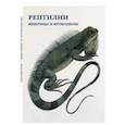 russische bücher:  - Рептилии. Ящерицы и крокодилы