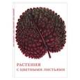 russische bücher:  - Растения с цветными листьями