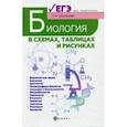 russische bücher: Шустанова Татьяна Анатольевна - Биология в схемах, таблицах и рисунках. Учебное пособие