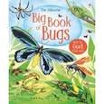 russische bücher: Bone Emily - Big Book of Bugs