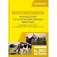russische bücher: Сидорова Мария Владимировна - Морфология сельскохозяйственных животных. Анатомия и гистология с основами цитологии и эмбриологии