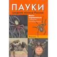 russische bücher: Сейфулина Римма Равильевна - Пауки средней полосы России.