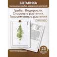 russische bücher: Анцышкина А.М., Луферов А.Н., Простодушева Т.В. - Ботаника. Систематика грибов, водорослей, растений. Грибы. Водоросли. Споровые растения. Голосеменные растения