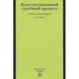 russische bücher: Саликов М. С. - Конституционный судебный процесс. Учебник для бакалавриата