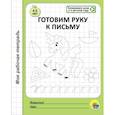 Моя рабочая тетрадь. Готовим руку к письму
