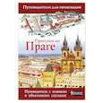 russische bücher: Синельникова Елена - Прогулки по Праге