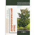 russische bücher: Петров Анатолий Петрович, Дорожкин Евгений Михайлович - Дендрологический атлас