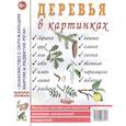 russische bücher:  - Деревья в картинках