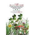 russische bücher: Кано Хироко - Словарь растений