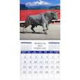:  - Календарь на 2021 год "Год быка"