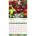:  - Календарь на 2021 год "Лунный календарь сад и огород"