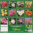 :  - Календарь на 2021 год "Цветы"
