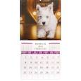 :  - Календарь на 2021 год "Щенки"
