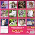 :  - Календарь на 2021 год "Котята"
