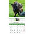 :  - Календарь на 2021 год "Год быка. Малыши"