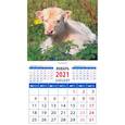 :  - Календарь магнитный на 2021 год "Год быка. Жизнь прекрасна"