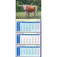 :  - Календарь на 2021 год "Год быка. Могучий красавец" (34111)