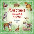 russische bücher:  - Животные наших лесов. Календарь 2021