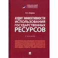 russische bücher: Егорова Ирина Сергеевна - Аудит эффективности использования государственных ресурсов. Учебник