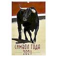 russische bücher:  - 2021 Календарь на спирали Символ года 2