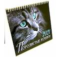 russische bücher:  - Календарь-домик на 2021 год. Породистые кошки