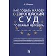 russische bücher: Бирюков А. - Как подать жалобу в Европейский суд по правам человека.