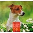 :  - Календарь на 2021 год одноблочный средний "Домашние любимцы. Дизайн 2" (КС122104)