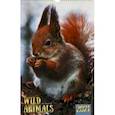 :  - Календарь на 2021 год одноблочный средний "Дикие животные. Дизайн 1" (КПВС2106)