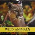 :  - Календарь на 2021 год квадратный средний "Дикие животные. Дизайн 1" (КПКС2106)