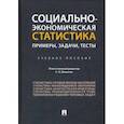 russische bücher: Шаныгин Сергей Иванович - Социально-экономическая статистика. Примеры, задачи, тесты. Учебное пособие