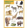 russische bücher:  - Животные Африки