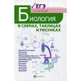russische bücher: Шустанова Татьяна Анатольевна - Биология в схемах, таблицах и рисунках