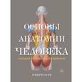 russische bücher: Ости Р. - Основы анатомии человека. Наглядное руководство для художника